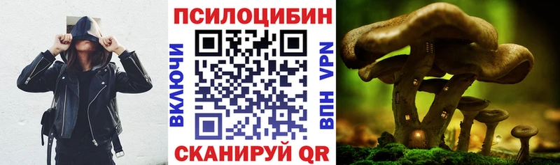 Псилоцибиновые грибы GOLDEN TEACHER  где купить наркоту  Рязань 