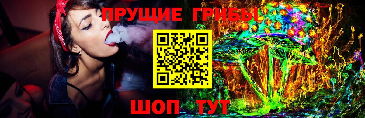 Псилоцибиновые грибы GOLDEN TEACHER  Псилоцибиновые грибы Psilocybine cubensis  Рязань  Вход с VPN 