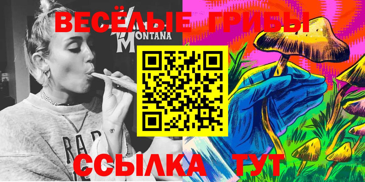 Псилоцибиновые грибы Psilocybe Рязань